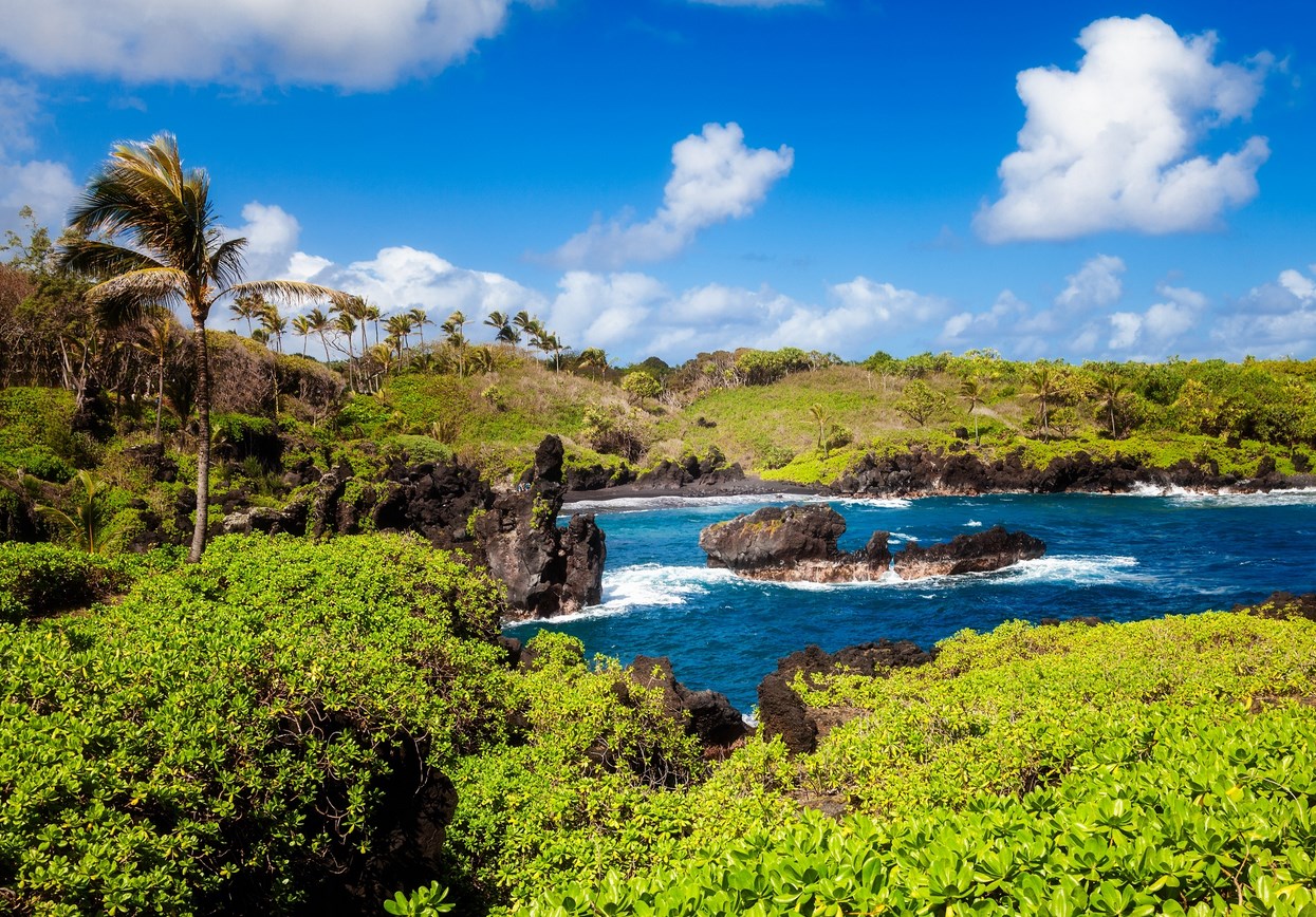 Web state parks reservation system: Let's travel the world! Waiʻanapanapa State Park