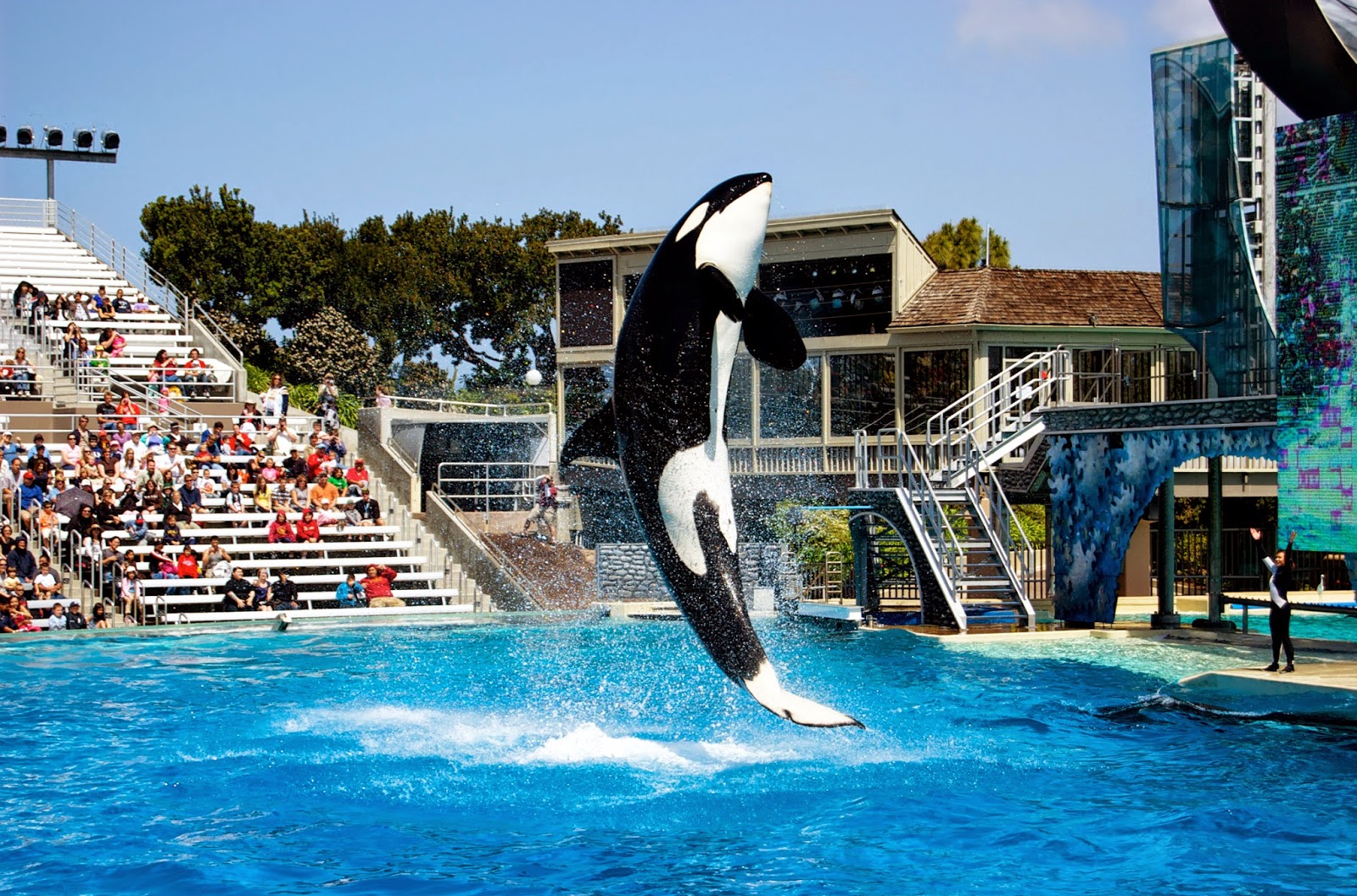 Check out these eight unforgettable experiences at seaworld san diego. Sea World California in San Diego, CA, USA Tourist Destinations