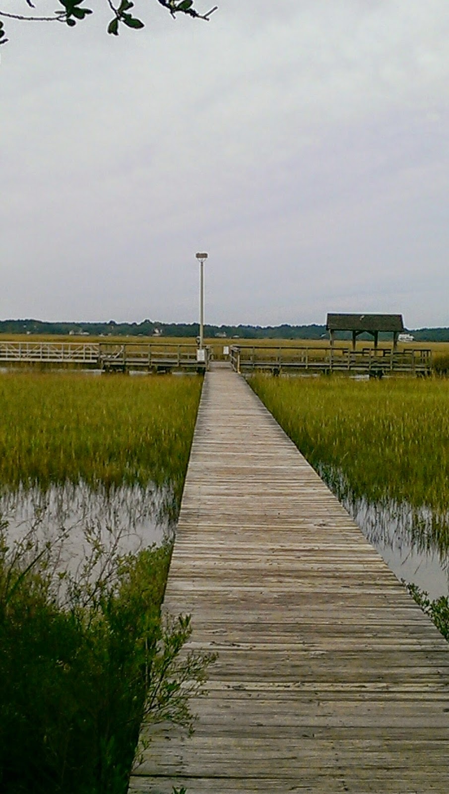 Web a peaceful walk this morning on the fishing dock at james island county park. James Island County Park, SC Flyin' the Coop