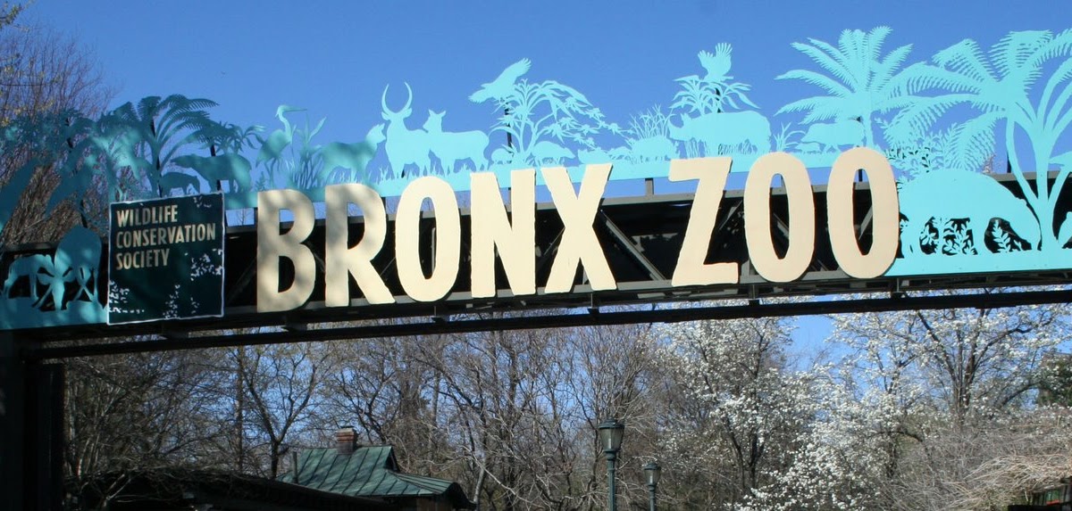 $40 adult, $30 child (prices are higher at the gate) combine with mta metro north package to save; New York...City that never sleeps Bronx Zoo A great place to have
