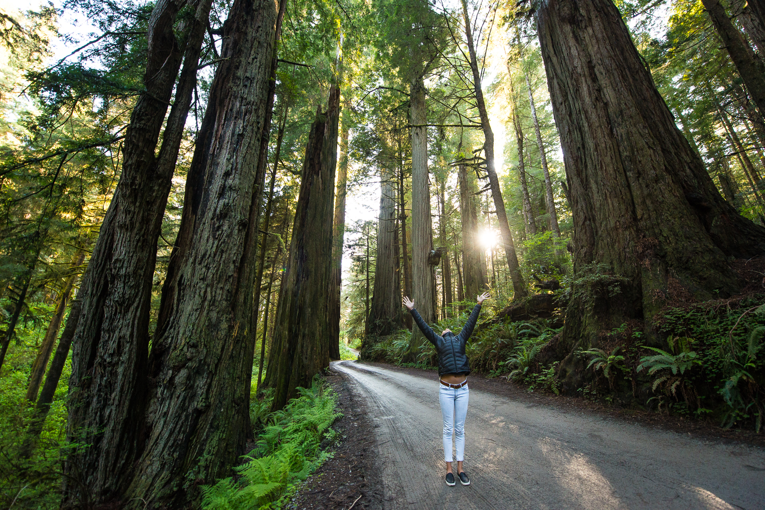 Wsb sponsor) has announced two more free classes on the rooftop of the building. Lake Washington Physical Therapy