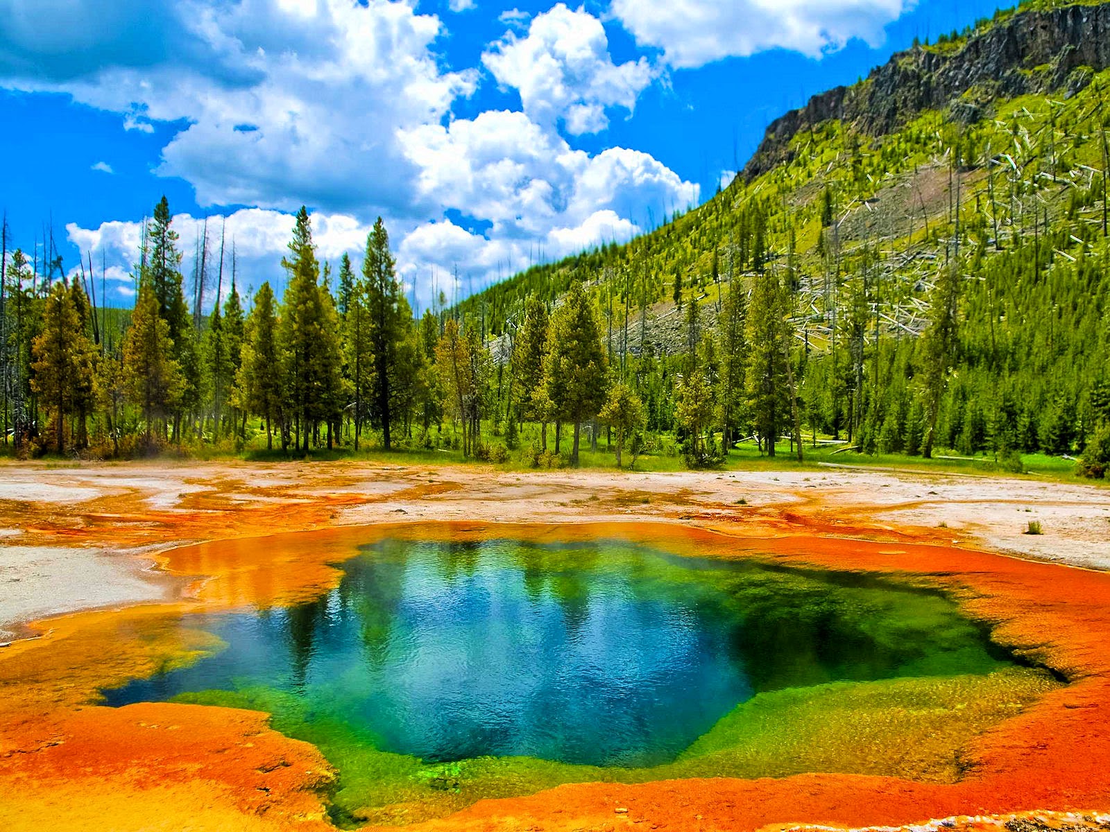 Para perderte... Yellowstone National Park Wyoming USA aznalfarache