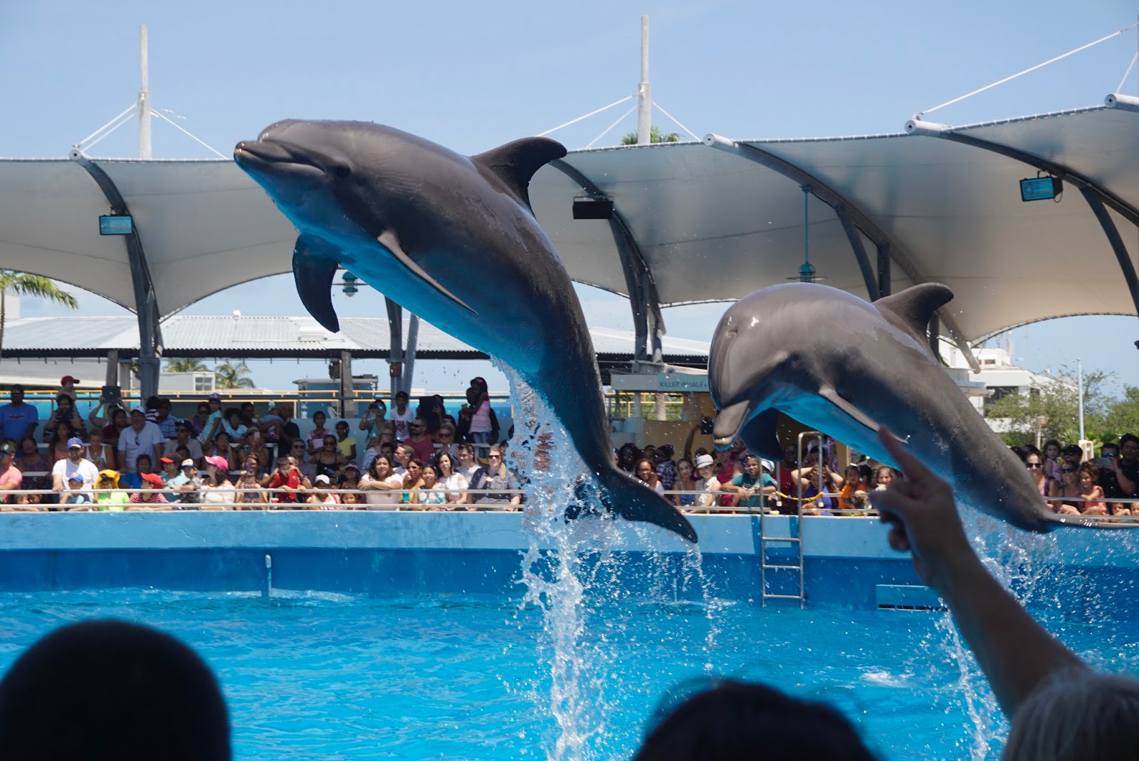 Web 15 best things to do in key biscayne (fl) 1. Made in the West Indies Five Things to do at Key Biscayne