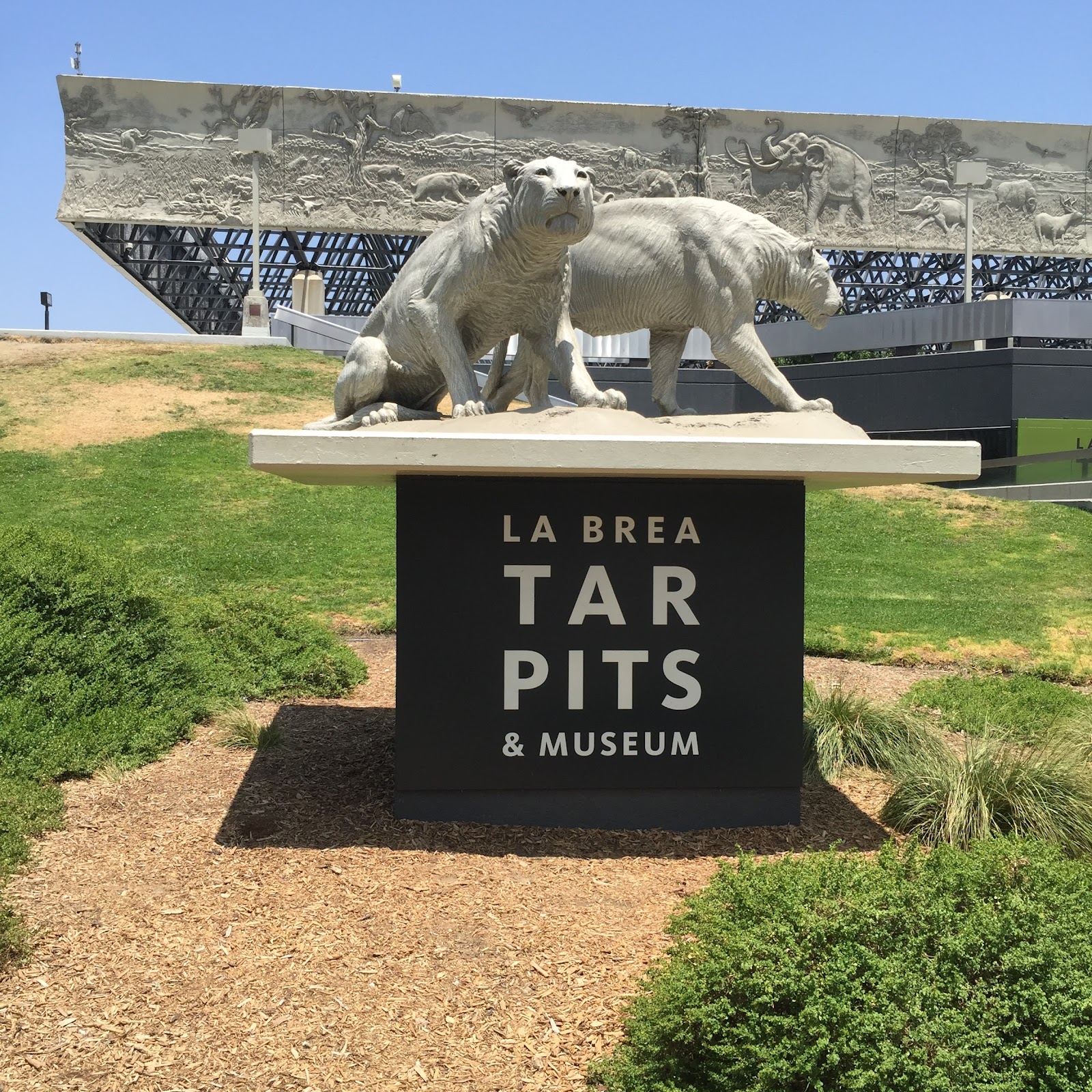 The page museum is not free. Chadwicks' Picture Place La Brea Tar Pits