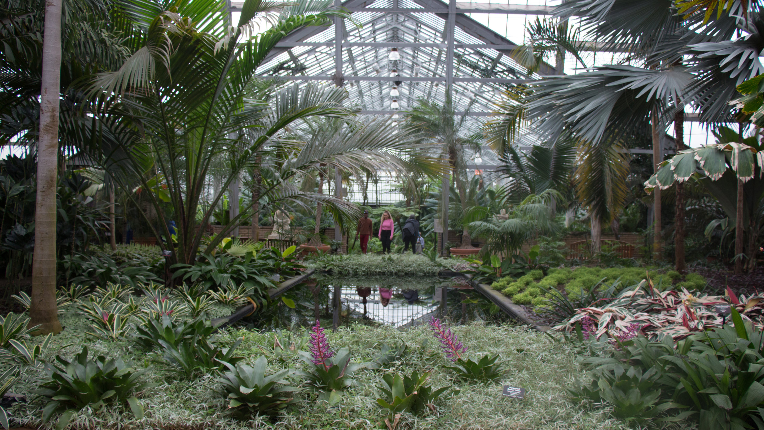 His garden cycle began in 2001 at garfield park conservatory in chicago. Garfield Park Conservatory breathing in fresh air and saying farewell