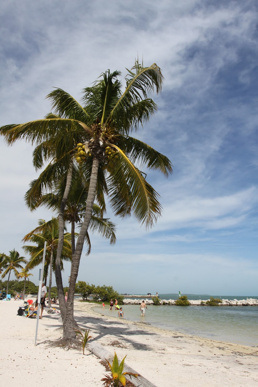 Dreamstime is the world`s largest stock photography community. Cesty tam a zase zpátky Východní pobřeží Floridy Hutchinson Island